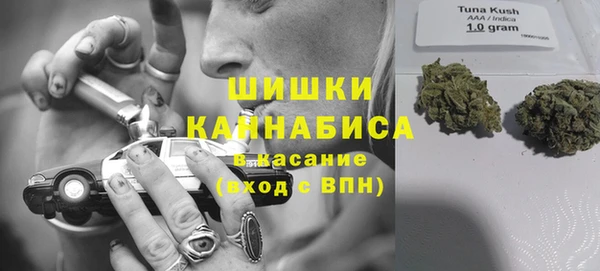 PSILOCYBIN Заводоуковск