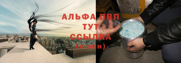 PSILOCYBIN Заводоуковск