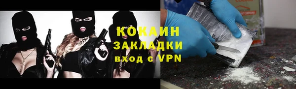 PSILOCYBIN Заводоуковск