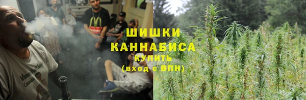 PSILOCYBIN Заводоуковск